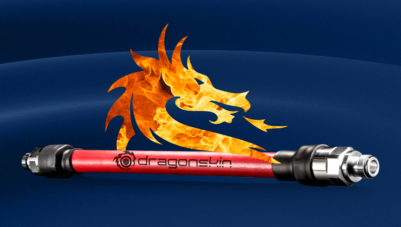 DRAGONSKIN: It takes a dragon to tame a beast